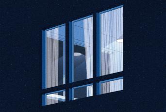Honeycomb Shades
